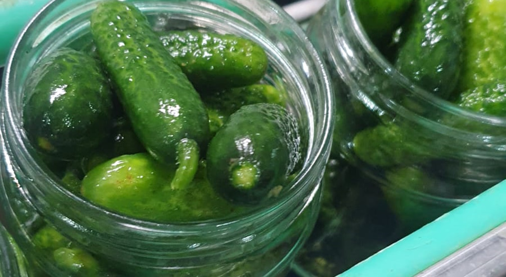 Производство консервированных огурцов. Ранний старт!