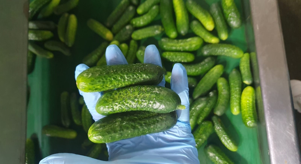 Улучшаем контроль качества на каждом этапе производства